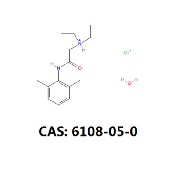 Lidocaine Hcl Powder CAS 6108-05-0